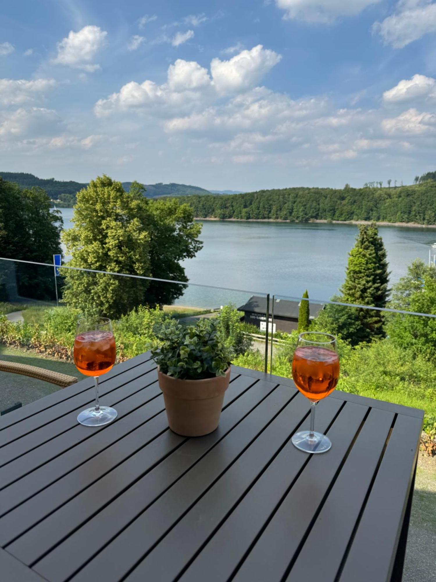 Ommi Kese See-Suite Sauna Biggesee Olpe bei Meschede Exteriér fotografie